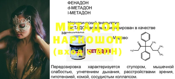 PSILOCYBIN Алзамай