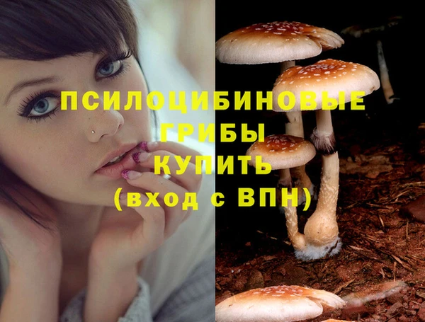 скорость Алексеевка