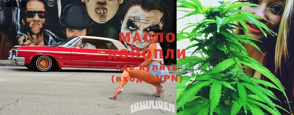 PSILOCYBIN Алзамай