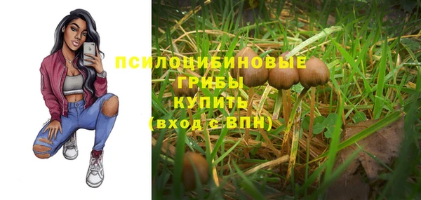 2c-b Алексин