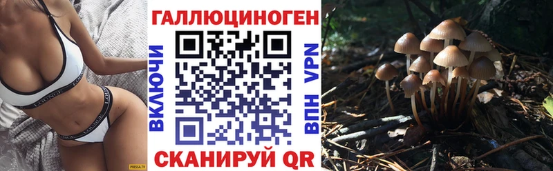 Псилоцибиновые грибы GOLDEN TEACHER мориарти Telegram Раменское