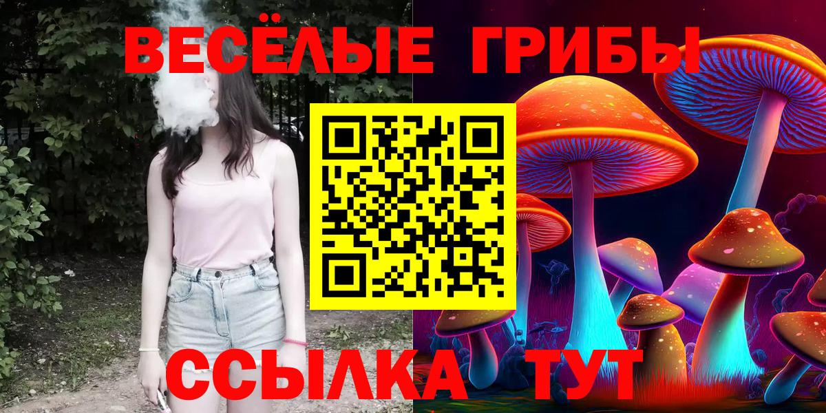 Псилоцибиновые грибы Magic Shrooms Раменское