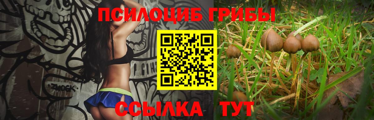 Псилоцибиновые грибы Magic Shrooms  Вход с VPN  Раменское 